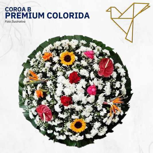 Coroa B - Premium Colorida