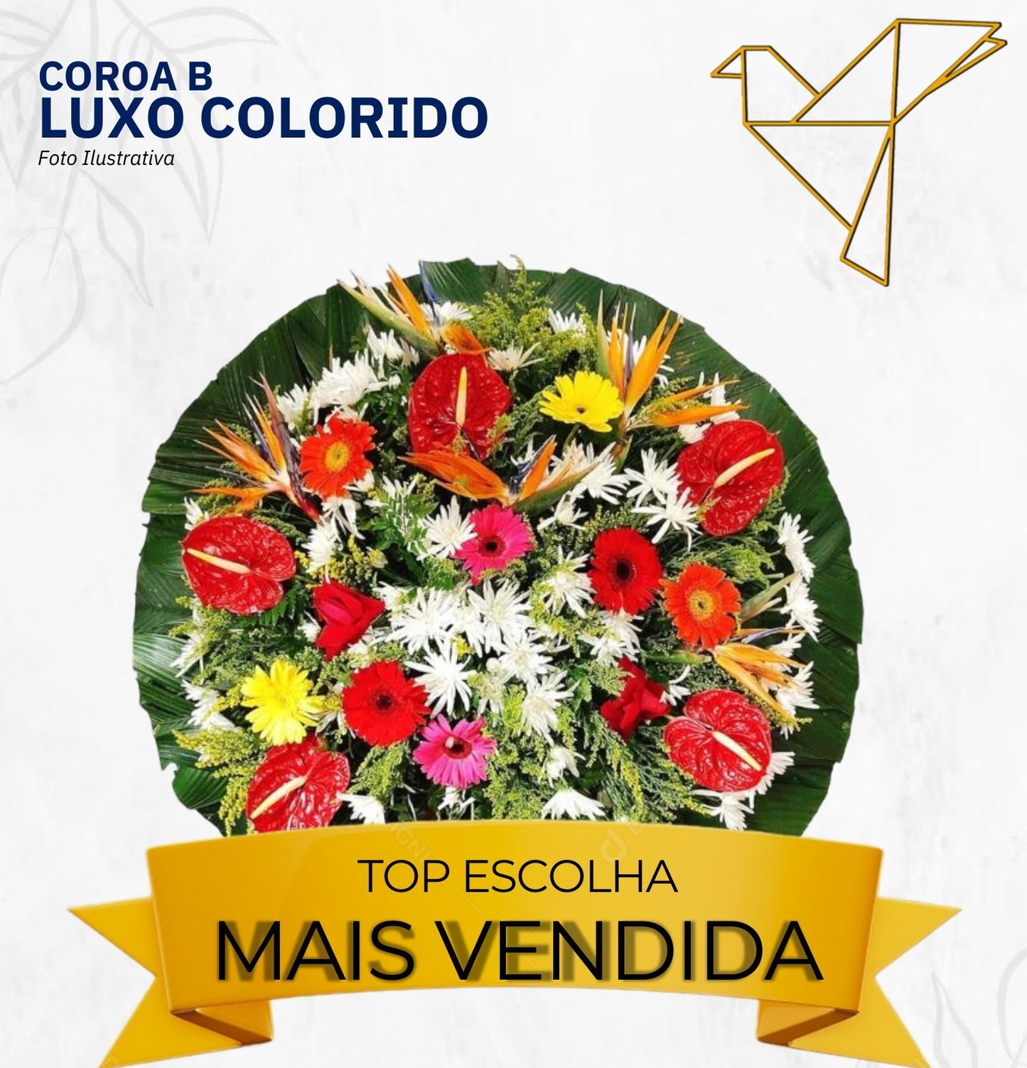 Coroa B - Luxo Colorido