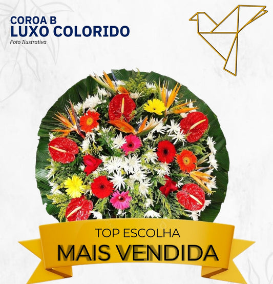Coroa B - Luxo Colorido