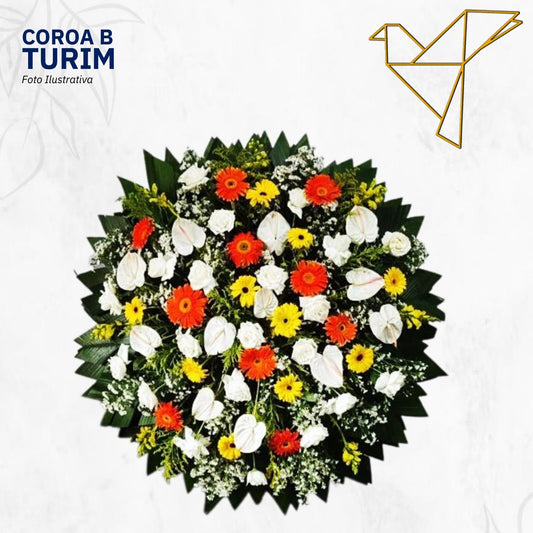 Coroa B - Turim