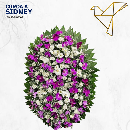 Coroa A - Sidney